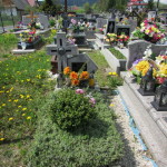 Cmentarz Parafialny na Kaletowie - Część F 2