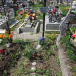 Cmentarz Parafialny na Kaletowie - Część F 4
