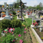 Cmentarz Parafialny na Kaletowie - Część G 1